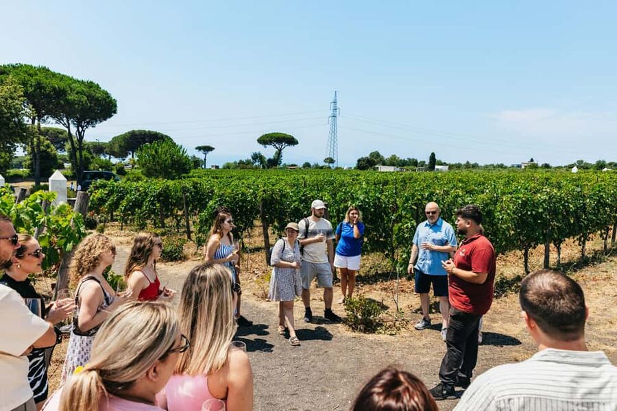 From Naples: Wine Tasting Tour on Vesuvius Slopes with Lunch - The farm shop and buying wine