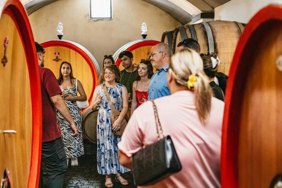 From Naples: Wine Tasting Tour on Vesuvius Slopes with Lunch - Who will enjoy this Vesuvius wine tour?