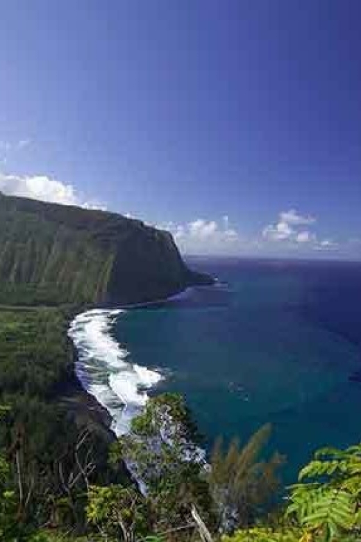 From Oahu: Big Island Volcano Adventure - A picnic lunch in the national park