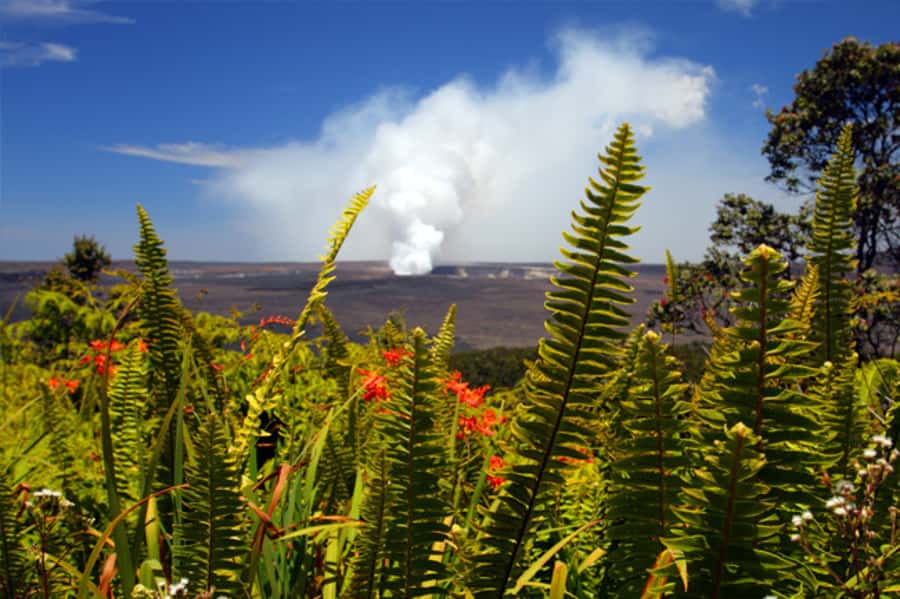 From Oahu: Big Island Volcano Adventure & Helicopter - Key points to know before booking