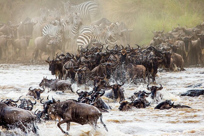 From Plains to Crater: 3-Day Midrange Safari in Northern Tanzania - Key things to know before booking