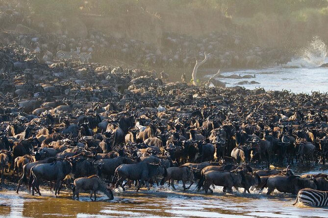 From Plains to Crater: 3-Day Midrange Safari in Northern Tanzania - What the small group size really means