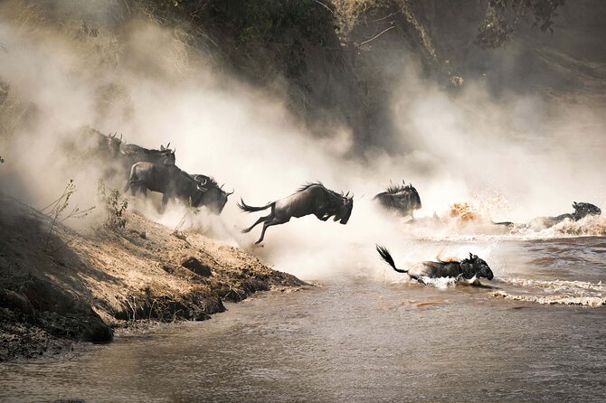 From Plains to Crater: 3-Day Midrange Safari in Northern Tanzania - Is $1,200 a fair price?