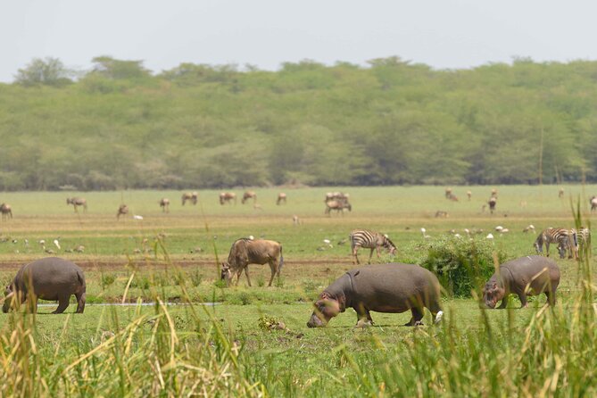 From Plains to Crater: 3-Day Midrange Safari in Northern Tanzania - Cultural contact beyond wildlife