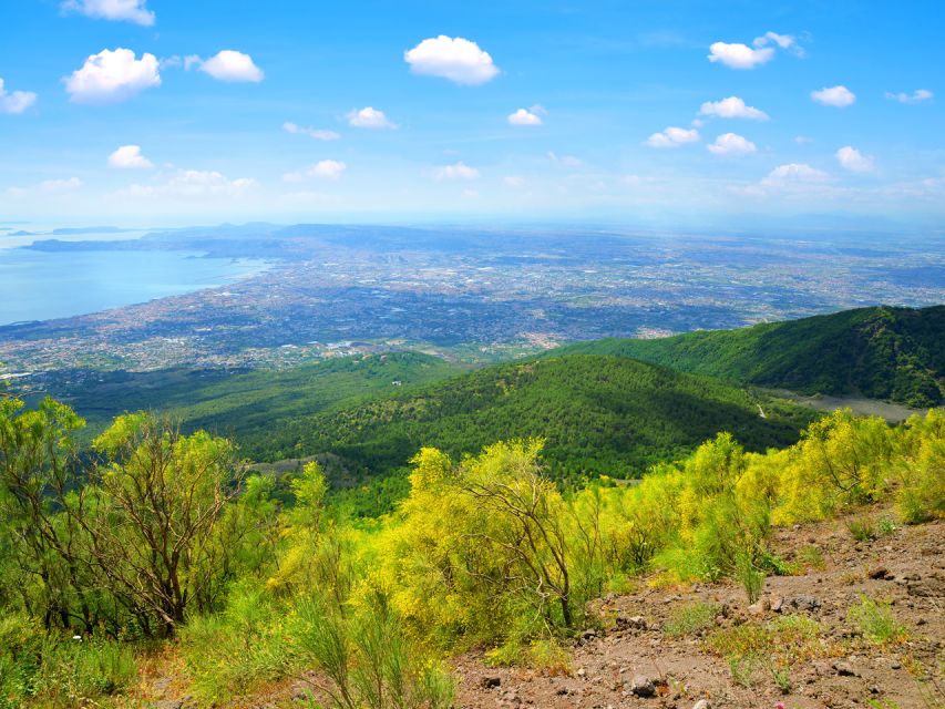 From Pompeii: Bus Transfer to Vesuvius with Park Entry Fee - The 40-minute climb by minibus
