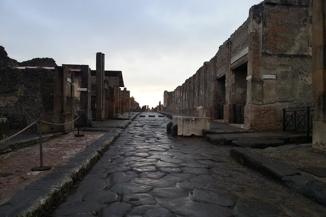 From Pompeii: Day Tour of Pompeii and Vesuvius with Bus Transfer - Inside Pompeii with a guide for two hours