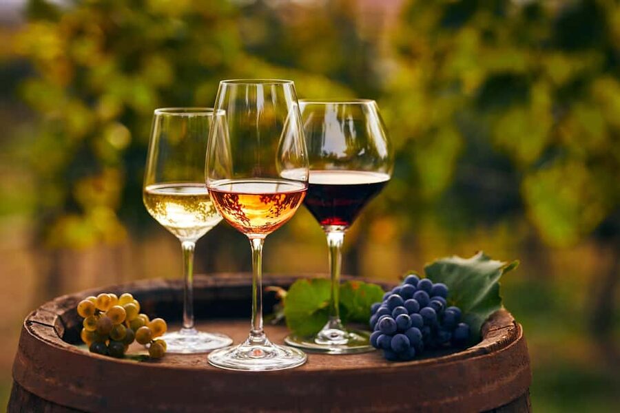 From Pompeii: Mount Vesuvius Wine Tasting and Lunch - The drive to the family vineyard