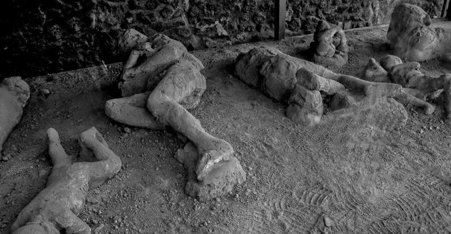 From Pompeii: Vesuvius excursion + Pompeii guided tour - What the $147.27 price covers