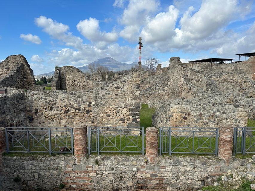 From Pompeii: Vesuvius excursion + Pompeii guided tour - Who should book this experience