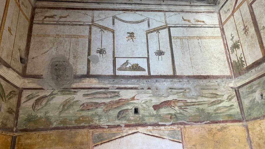 From Positano: Pompeii & Vesuvius tour small group - Small-group size and guide quality