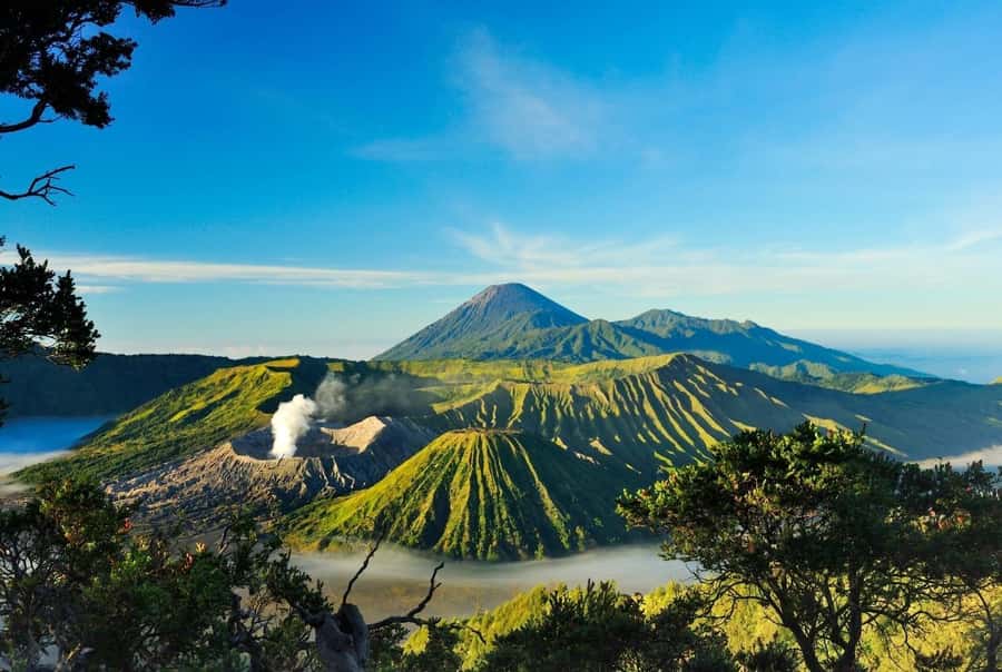 From Probolinggo: 2-Day Mount Bromo and Ijen Volcano Tour - The 1.5-kilometer walk to the Bromo crater