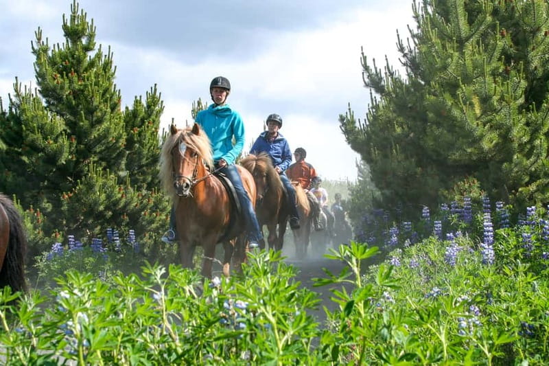 From Reykjavík: Icelandic Horse Riding Tour in Lava Fields - Key points at a glance