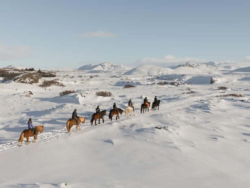 From Reykjavík: Icelandic Horse Riding Tour in Lava Fields - Getting ready with warm clothing and safety gear