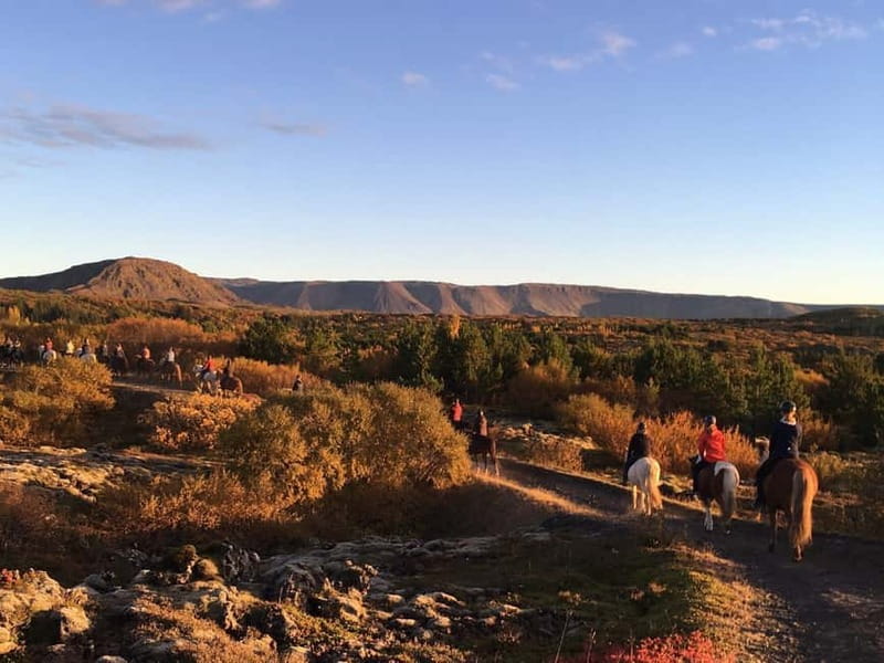 From Reykjavík: Icelandic Horse Riding Tour in Lava Fields - Meeting the horses before the trail