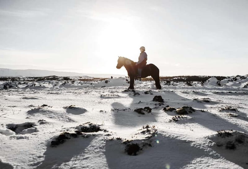 From Reykjavík: Icelandic Horse Riding Tour in Lava Fields - Weather, comfort, and what to wear