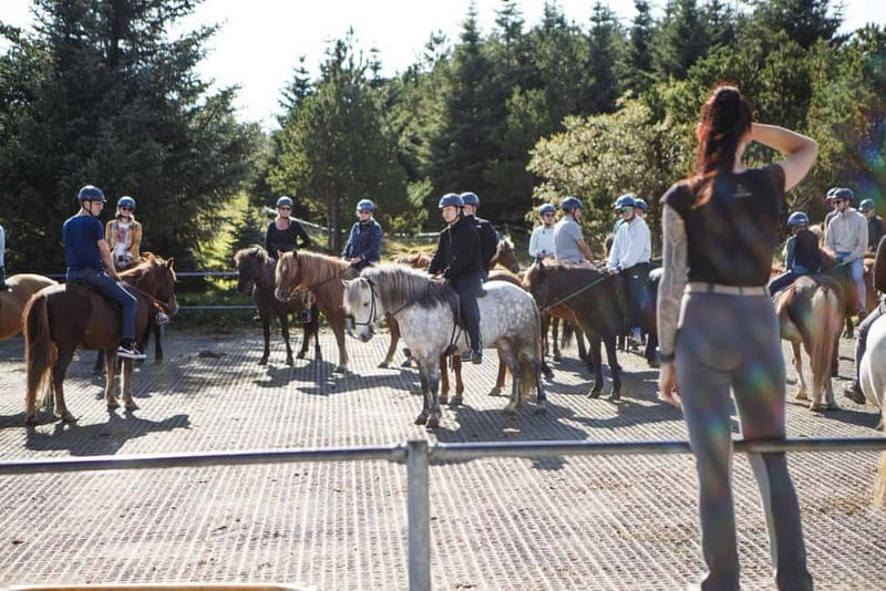 From Reykjavík: Icelandic Horse Riding Tour in Lava Fields - Is $141 good value?