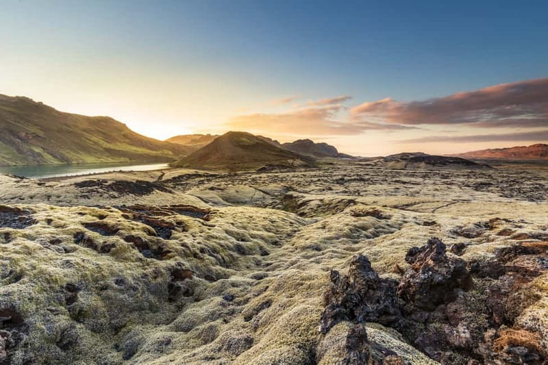 From Reykjavík: Icelandic Horse Riding Tour in Lava Fields - Who should book this ride?