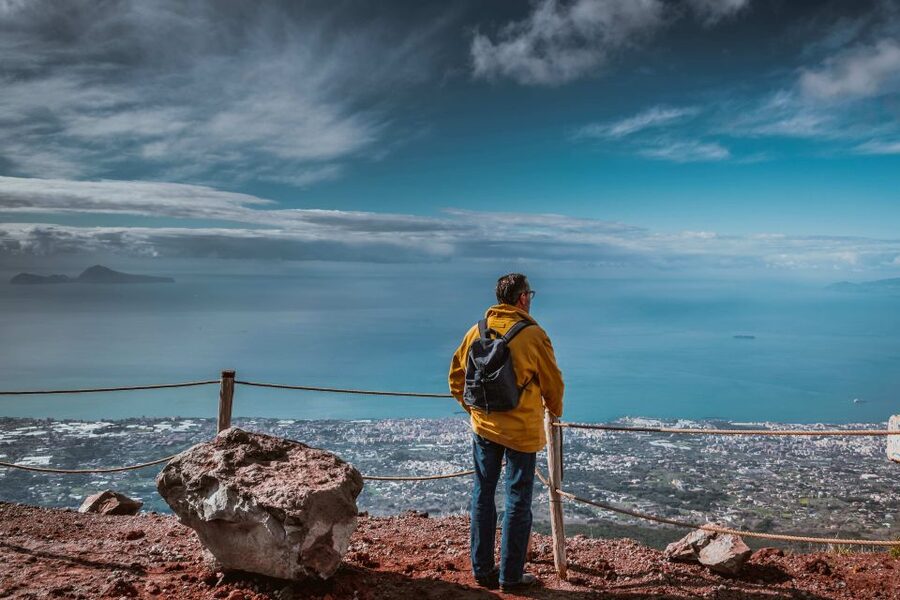 From Rome: Pompeii and Mount Vesuvius Private Tour - Is $875.15 per person good value?