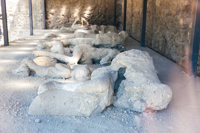 From Rome: Pompeii and Vesuvius Crater Experience with lunch - Leaving Rome at 7:15 am