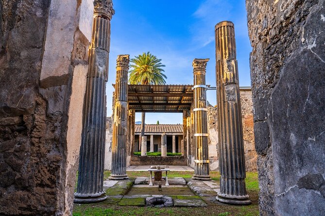 From Rome: Pompeii and Vesuvius Crater Experience with lunch - Lunch between Pompeii and Vesuvius