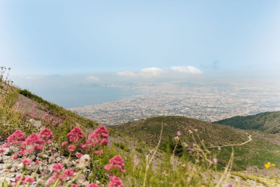 From Rome: Pompeii Day Trip with Optional Vesuvius and Lunch - Should you book the Pompeii and Vesuvius day trip?