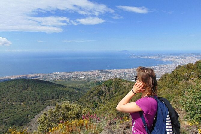From Rome private guided tour to Pompeii and Vesuvius - The tire problem you should take seriously