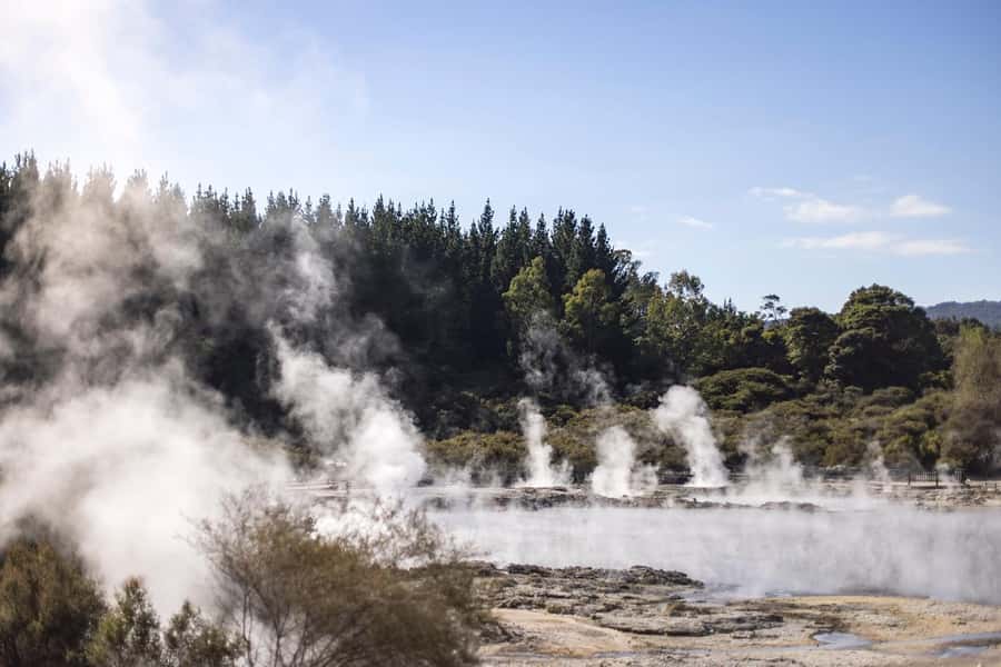 From Rotorua: HELL's GATE Geothermal MUD BATH Half Day Tour - What to pack and how to prepare