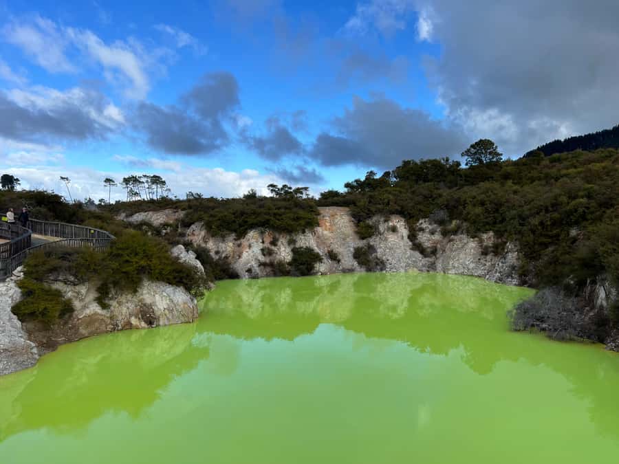 From Rotorua: WAI-O-TAPU Geothermal Wonderland Half-Day Tour - Why this half-day tour works well from Rotorua