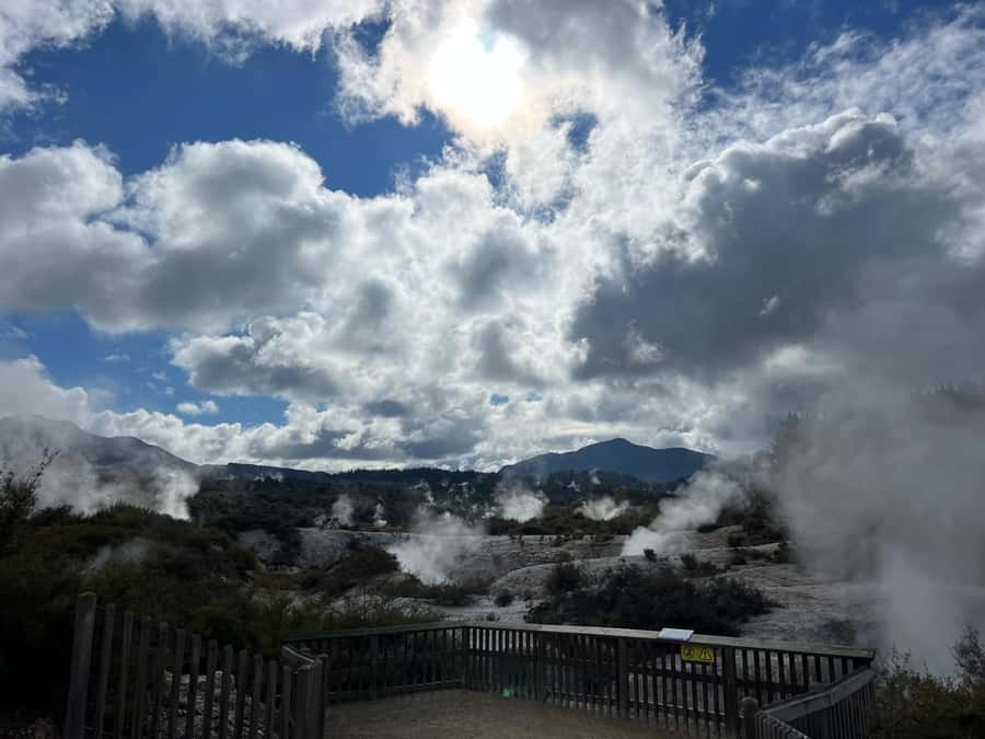 From Rotorua: WAI-O-TAPU Geothermal Wonderland Half-Day Tour - Lady Knox Geyser: a set-piece opening