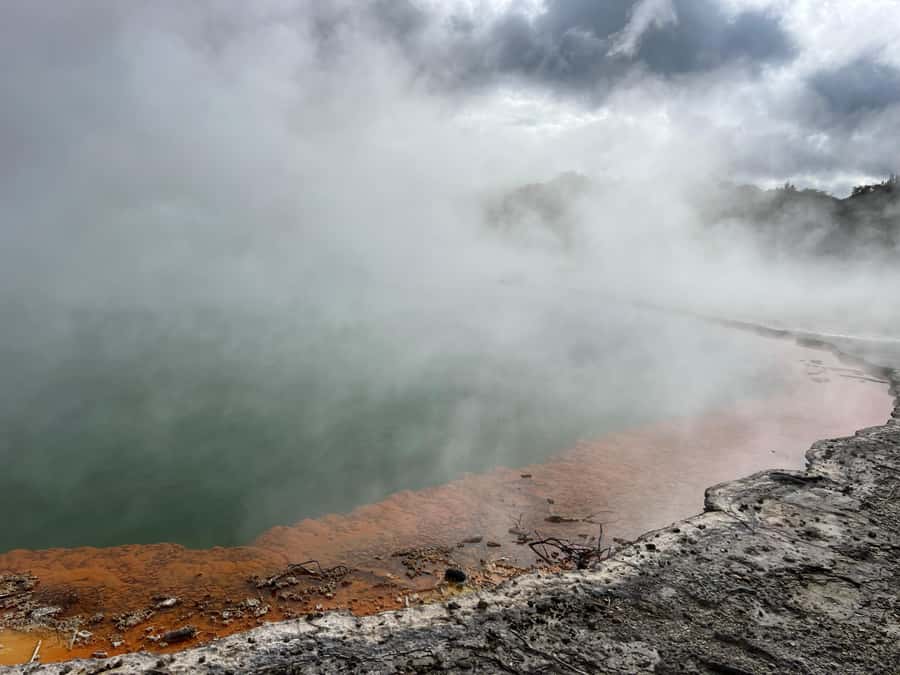 From Rotorua: WAI-O-TAPU Geothermal Wonderland Half-Day Tour - The Wai-O-Tapu Mud Pool: motion, sound, and steam
