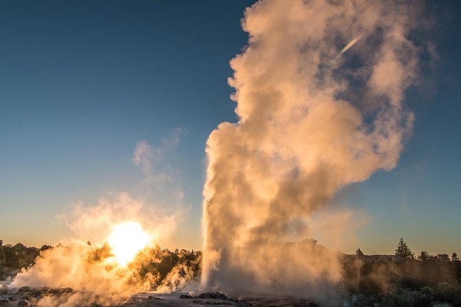 From Rotorua WAIMANGU VOLCANIC VALLEY Half Day Tour - What the $83.78 price really buys you