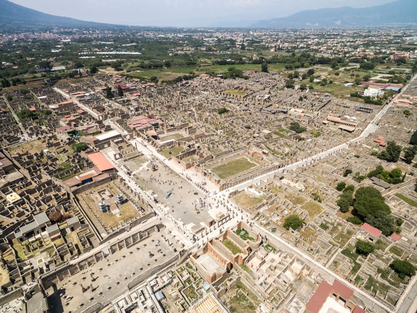 From Salerno: Vesuvius & Pompeii with audioguide - Two hours inside Pompeii