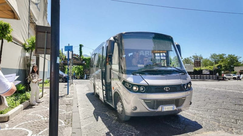 From Salerno: Vesuvius Tour with Entry Ticket & Smart Guide - Key points to know before booking