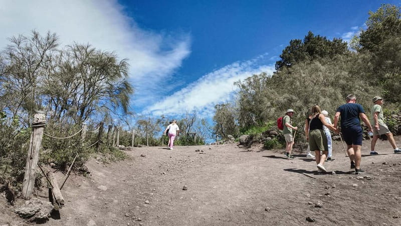 From Salerno: Vesuvius Tour with Entry Ticket & Smart Guide - At the Vesuvius crater path