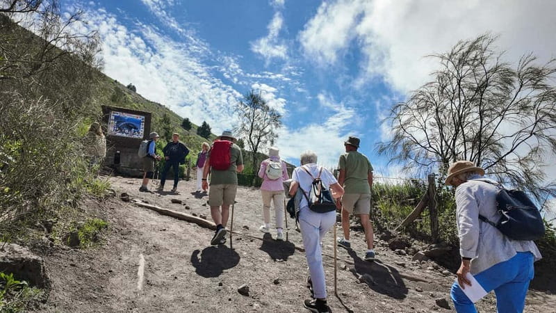From Salerno: Vesuvius Tour with Entry Ticket & Smart Guide - Why the Pompeii option may suit you best