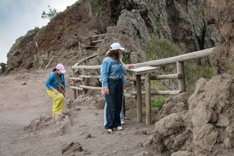 From Salerno: Vesuvius Tour with Entry Ticket & Smart Guide - Practical advice for a smoother day