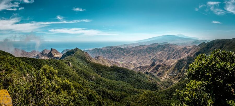 From Santa Cruz: Teide Volcano, Icod, & Garachico Tour - What the $85 price really covers