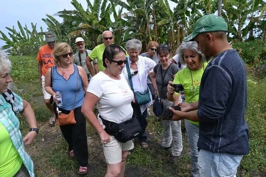 From São Filipe: Crater, Tastings & Historic Villages Tour - Key points to know before booking