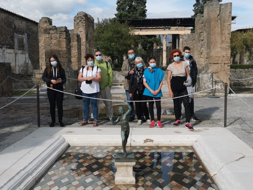 From Sorrento: Day Tour to Pompeii Ruins and Mount Vesuvius - Pickup from Sorrento and the ride north