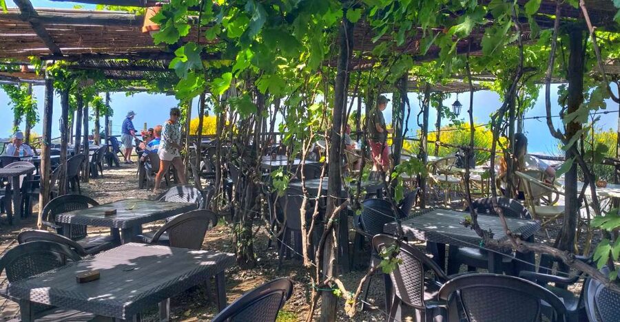 From Sorrento: Mount Vesuvius Tour with Lunch & Wine Tasting - A six-hour outing from Sorrento