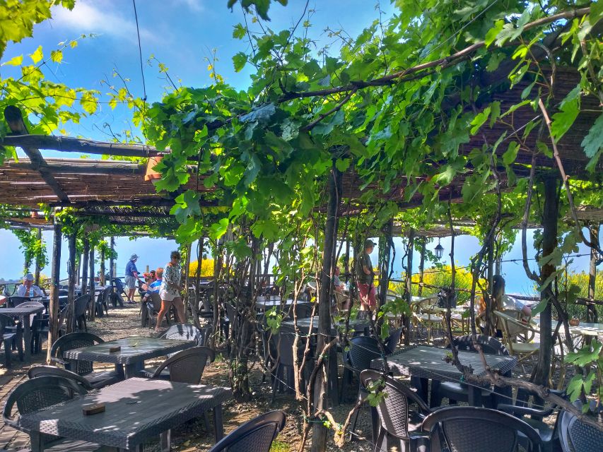 From Sorrento: Mount Vesuvius Tour with Lunch & Wine Tasting - Practical tips for a better day