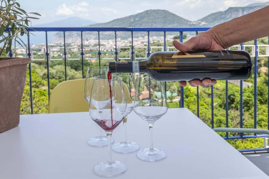 From Sorrento: Pizza-Making Class w/ View of Mount Vesuvius - Should you book this pizza class?