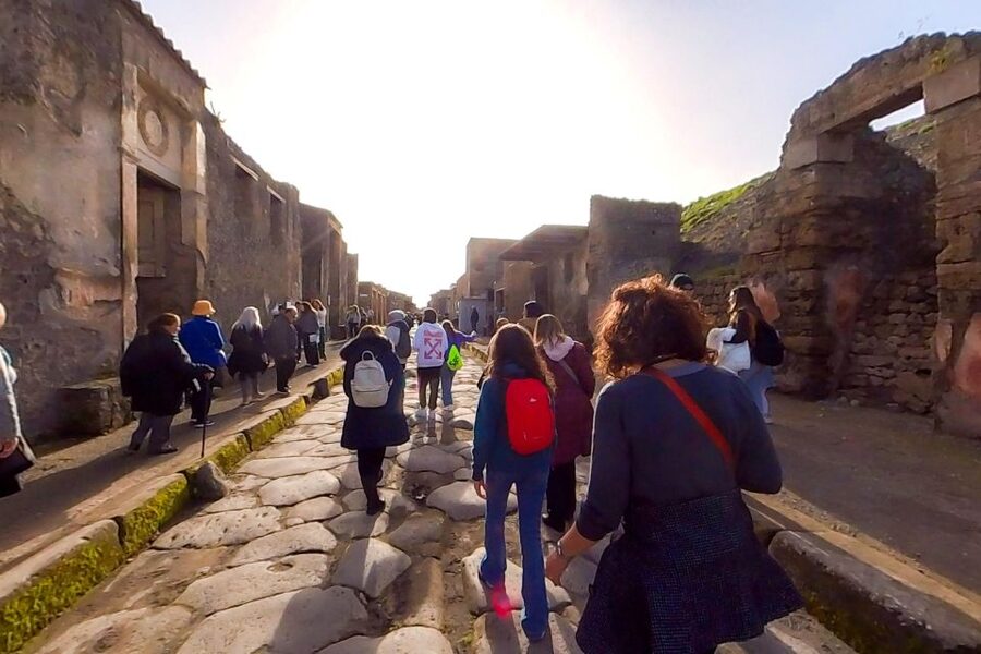 From Sorrento: Pompeii and Vesuvius Guided Tour with Lunch - Who should book this tour?