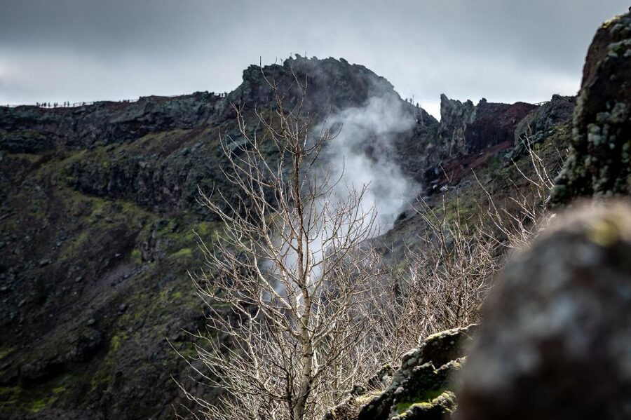 From Sorrento: Pompeii and Vesuvius Guided Tour with Lunch - The Forum and Stabian Baths