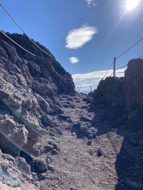 From Sorrento: Pompeii and Vesuvius Skip-the-Line Tour - Key details to know before booking