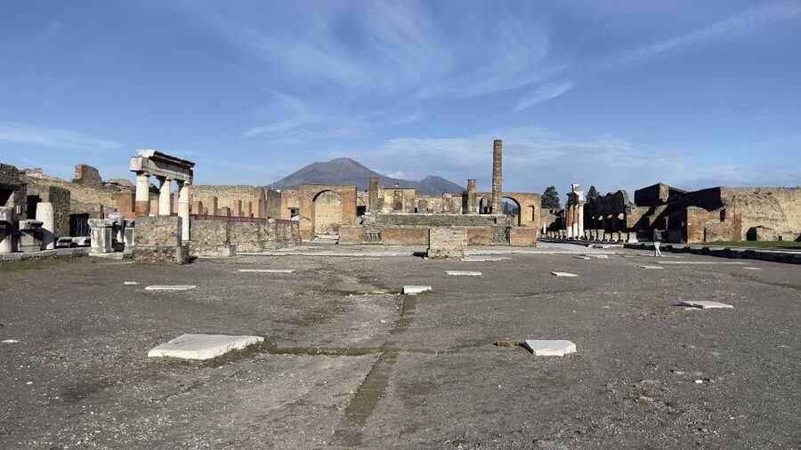 From Sorrento: Pompeii and Vesuvius Skip-the-Line Tour - Who will enjoy this Pompeii and Vesuvius tour?