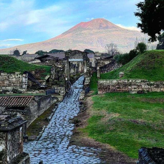 From Sorrento: Pompeii and Vesuvius Skip-the-Line Tour - Pompeii’s western quarter in two guided hours
