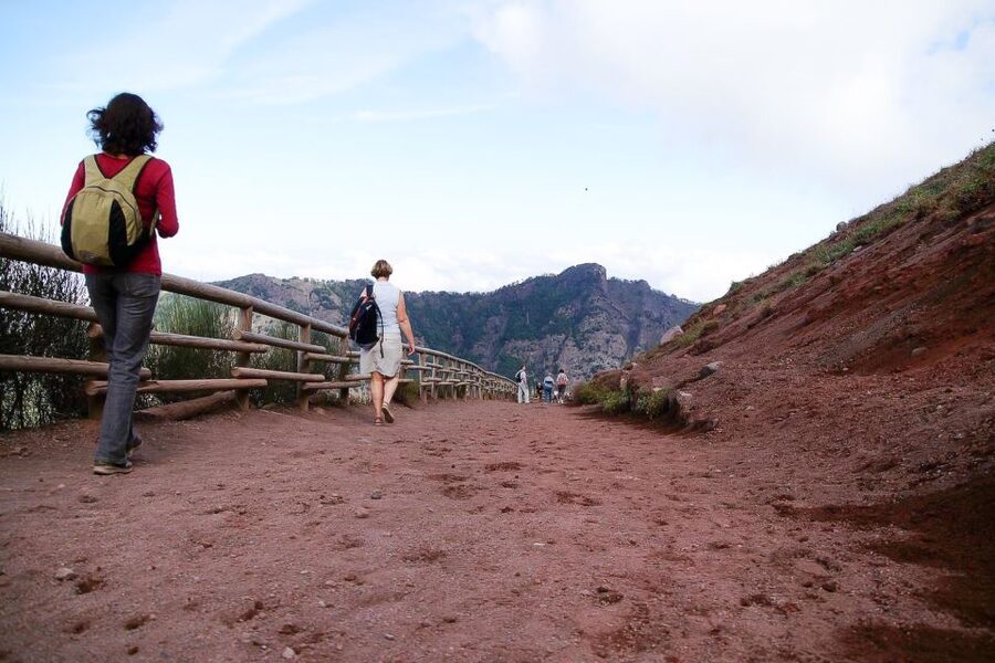 From Sorrento: Pompeii and Vesuvius Tour - Is $135.94 good value?