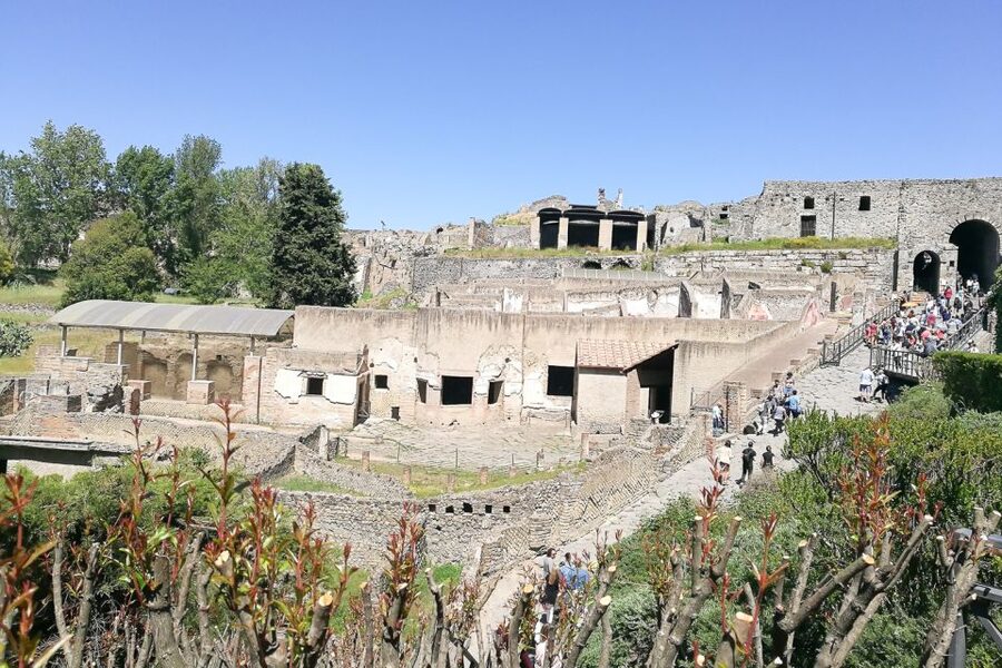 From Sorrento: Pompeii and Vesuvius Tour - Who should book this excursion?