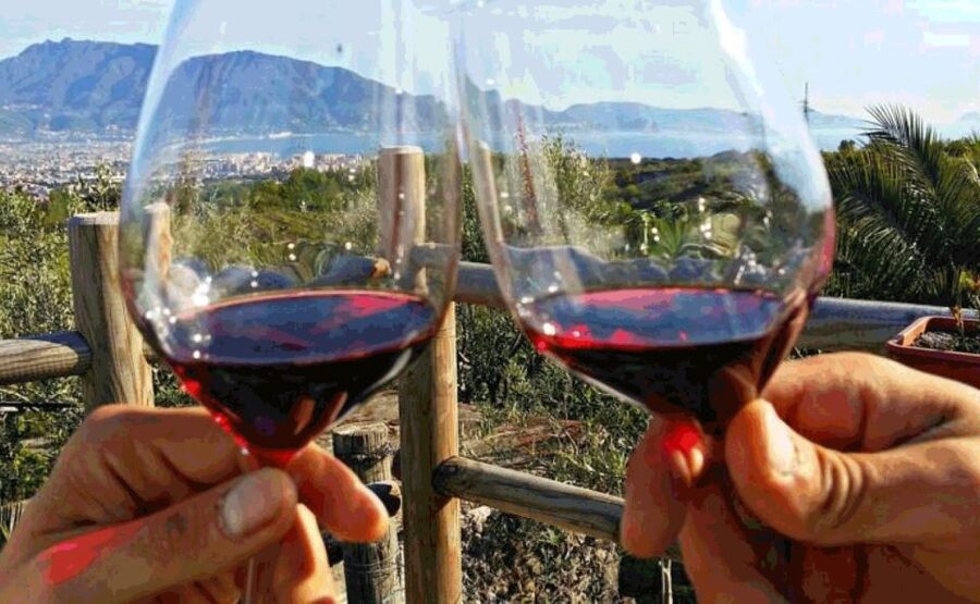 From Sorrento: Pompeii & Mt. Vesuvius Tour with Lunch & Wine - A vineyard lunch that breaks up the day